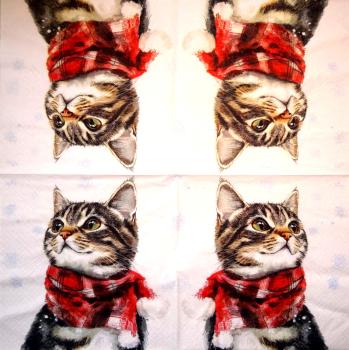 KAT-964 Cats - 3-ply - Ti-Flair